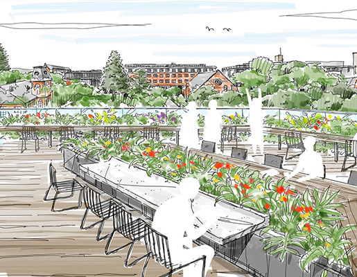 Terraceのイメージ画像